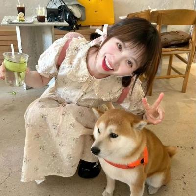 哈林教父第四季