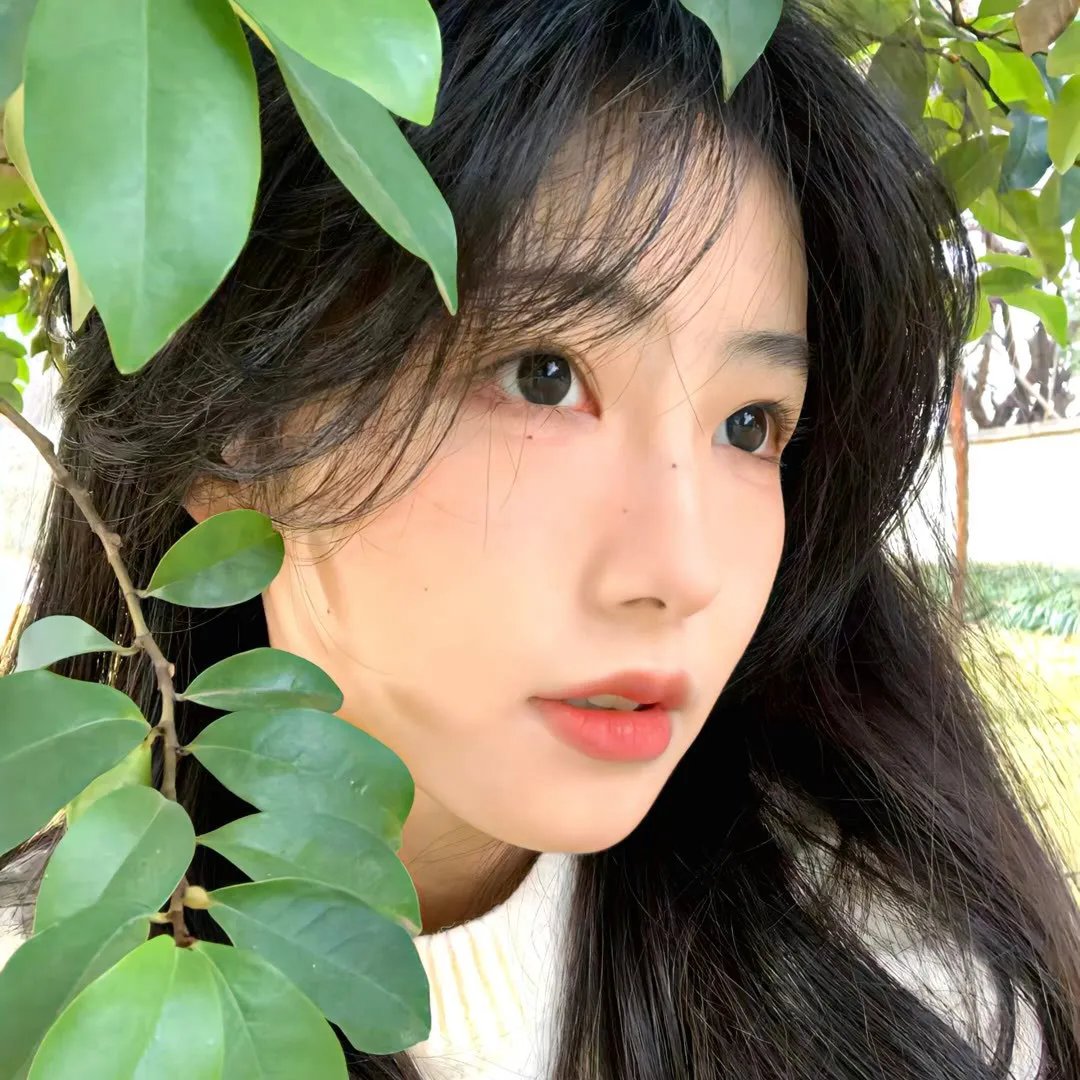 怒吼青春
